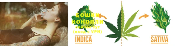 стафф Богородицк